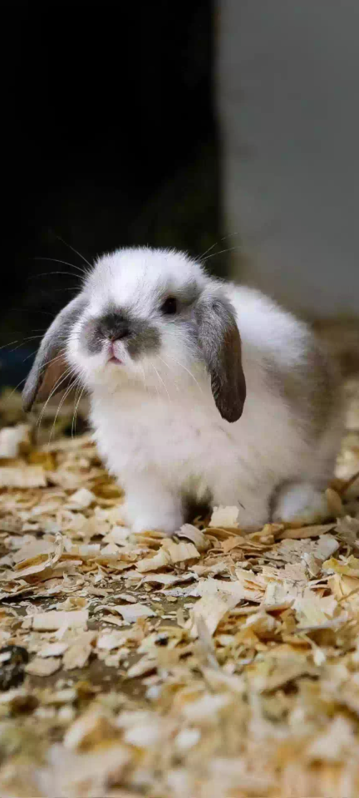 I love you darling ♥Come and injoy with me.full nude satisfaction